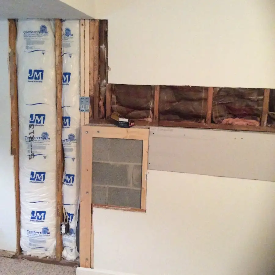 Wall insulation replacement during Odor Removal & Deodorization in Selma